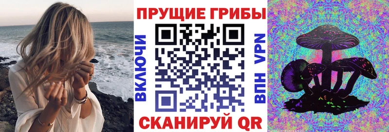 Галлюциногенные грибы Psilocybine cubensis  Купить где  Гагарин 