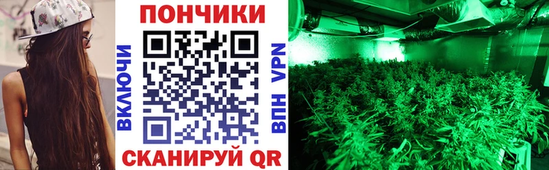 Каннабис индика  Купить закладки  Гагарин 